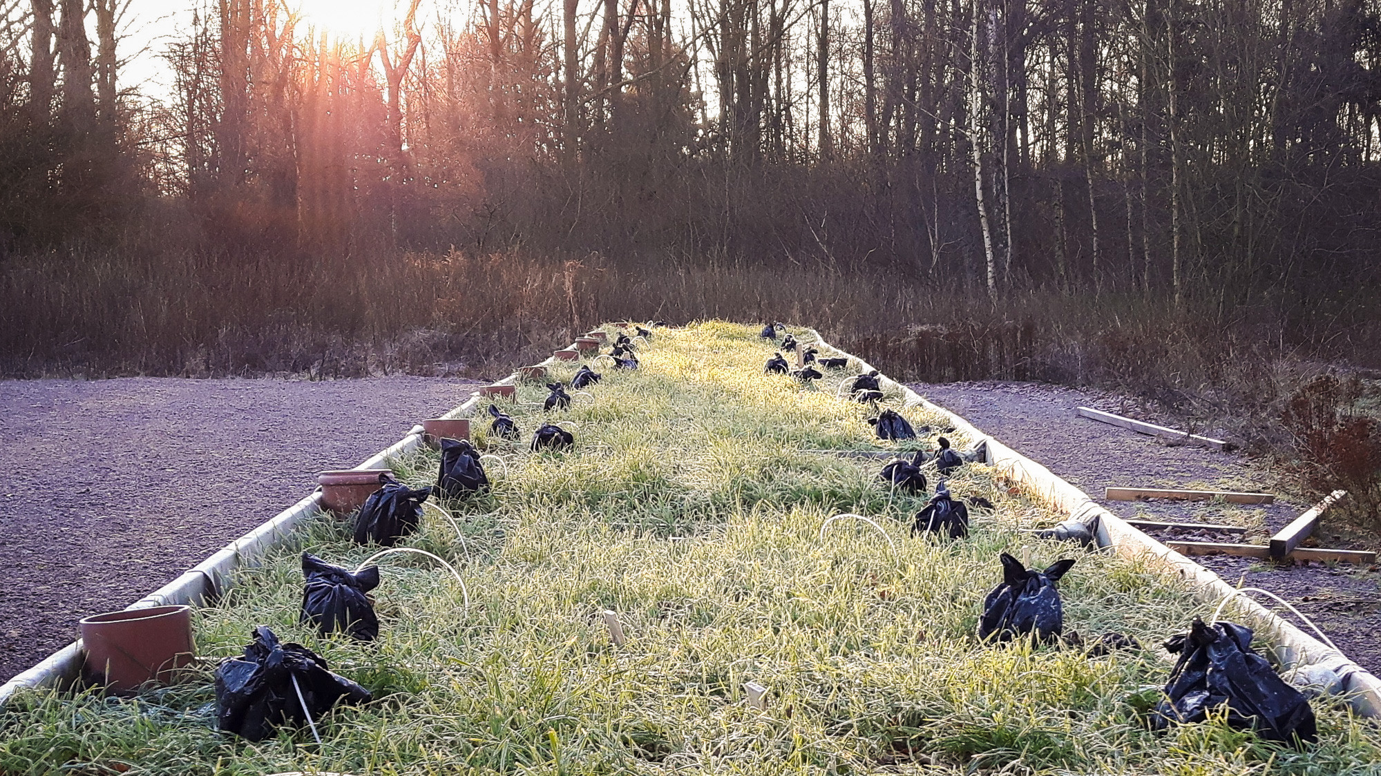 Fältförsök biokol Helsingborg