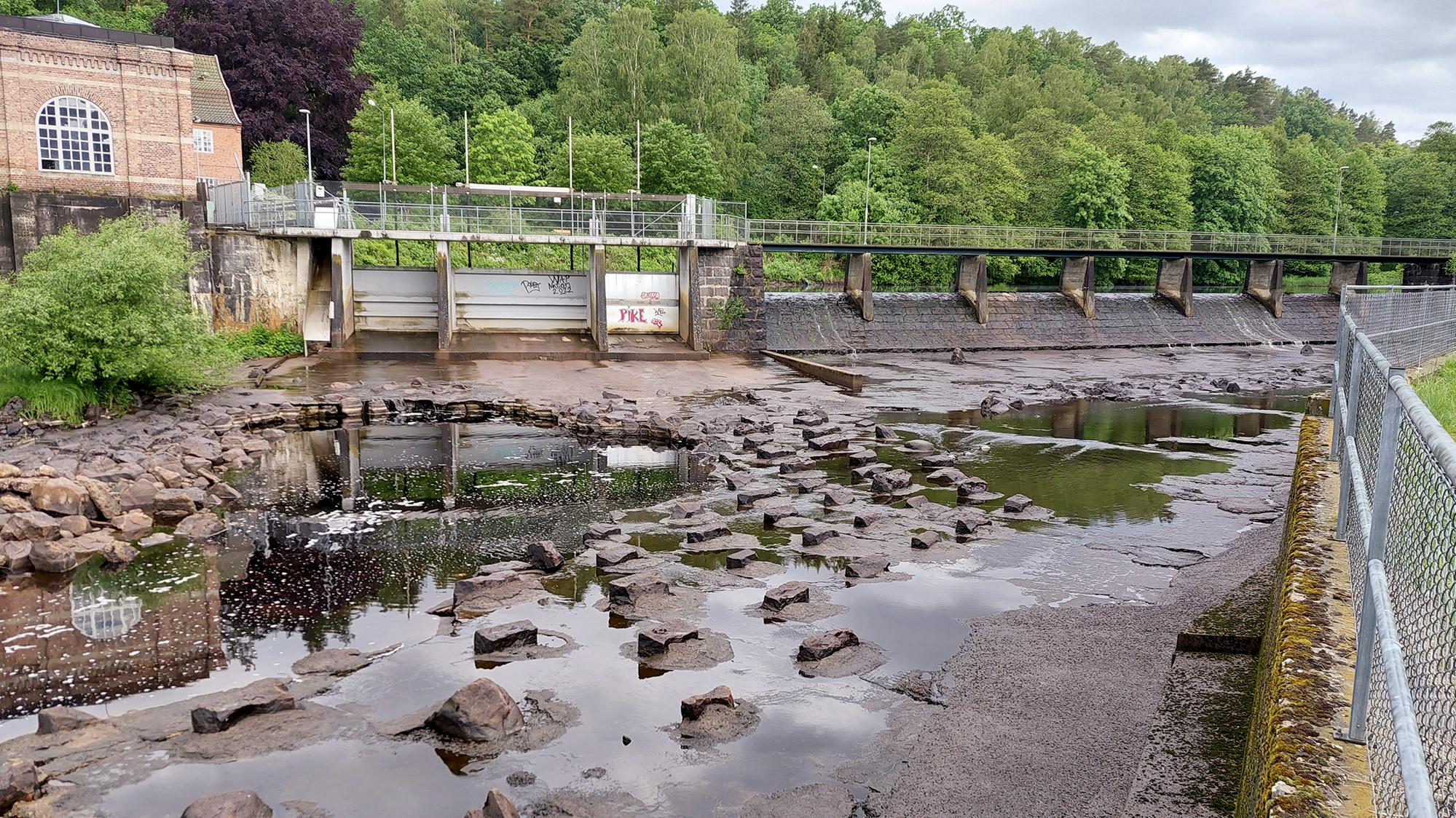 En flod som rinner genom en grönskande skog.