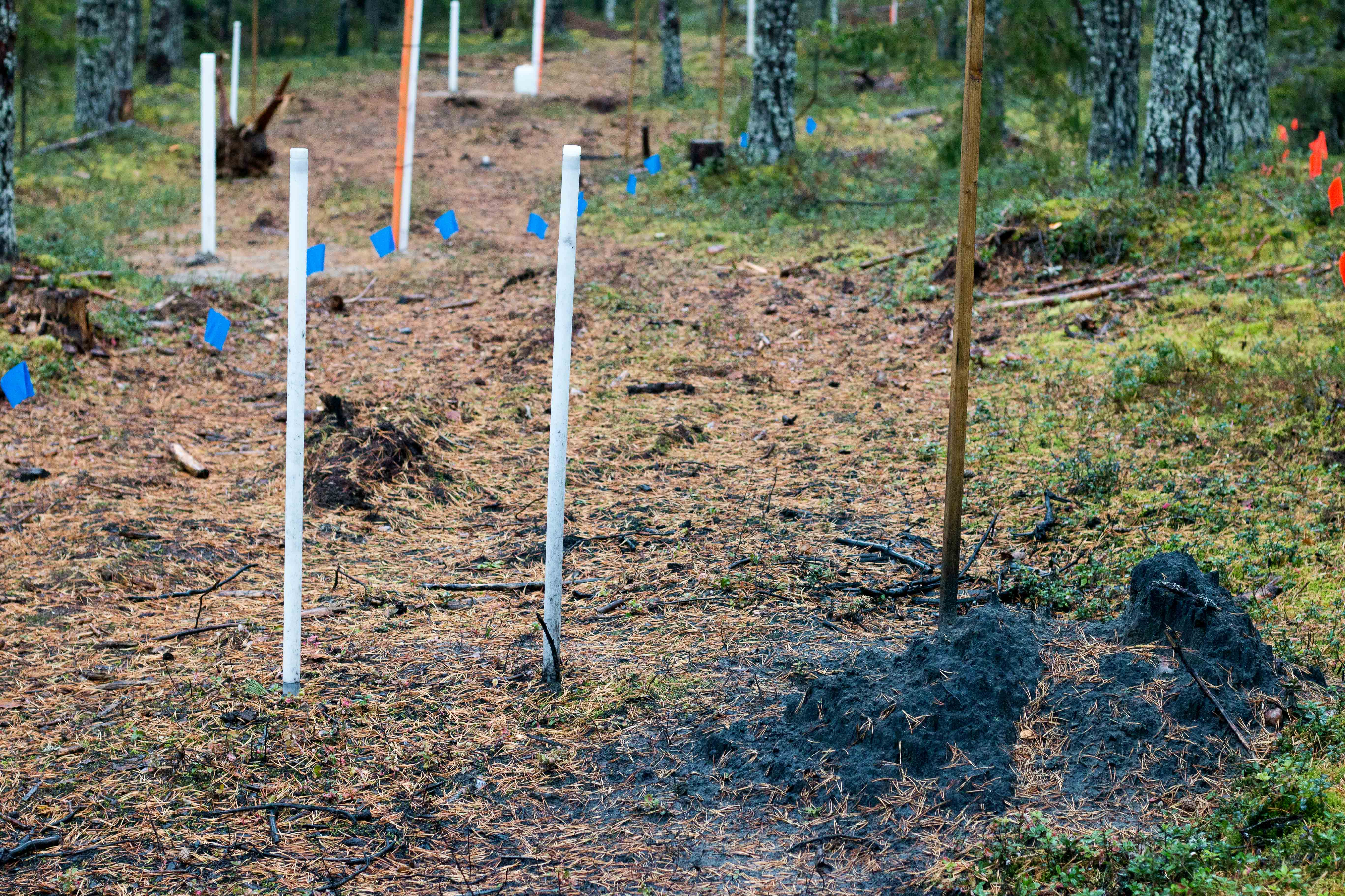 Injektering av kol i Örnsköldsvik