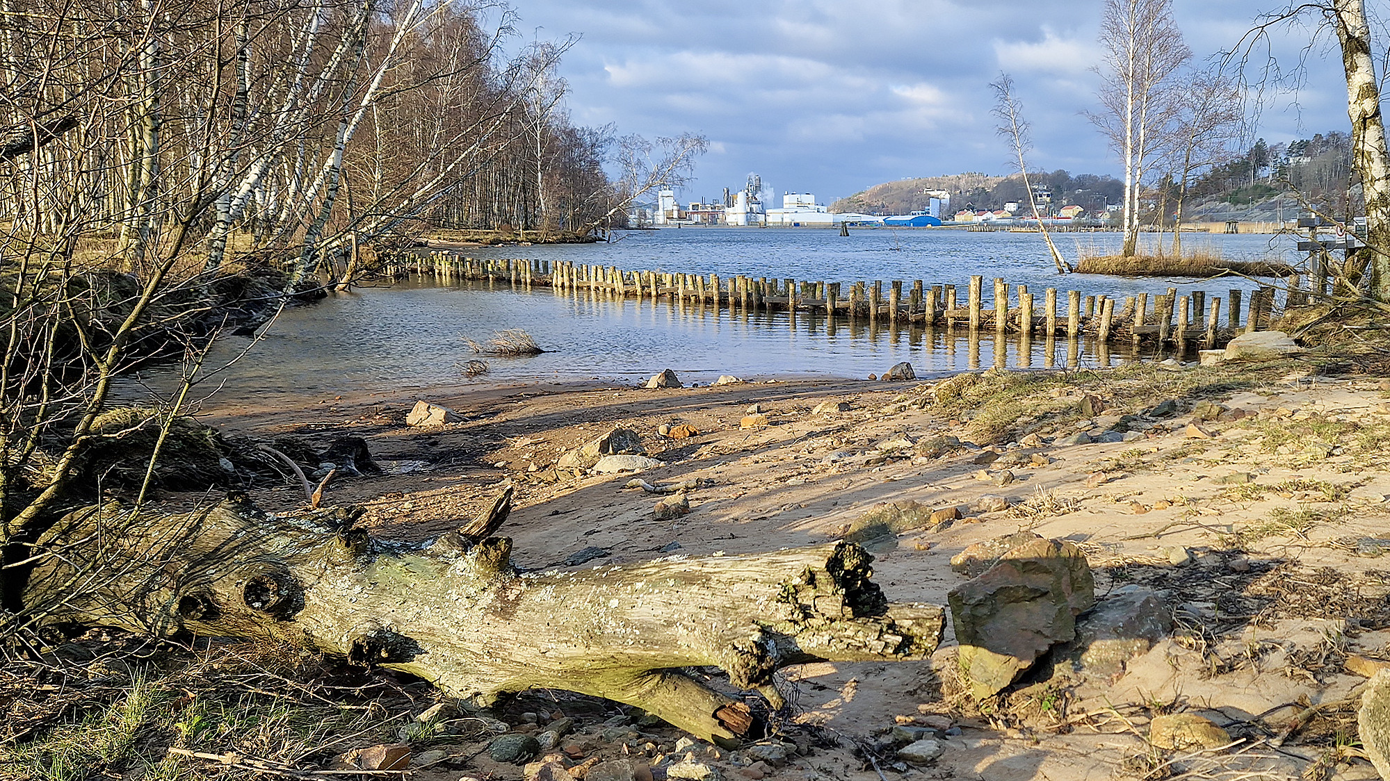 Naturbaserat erosionsskydd i Göta älv