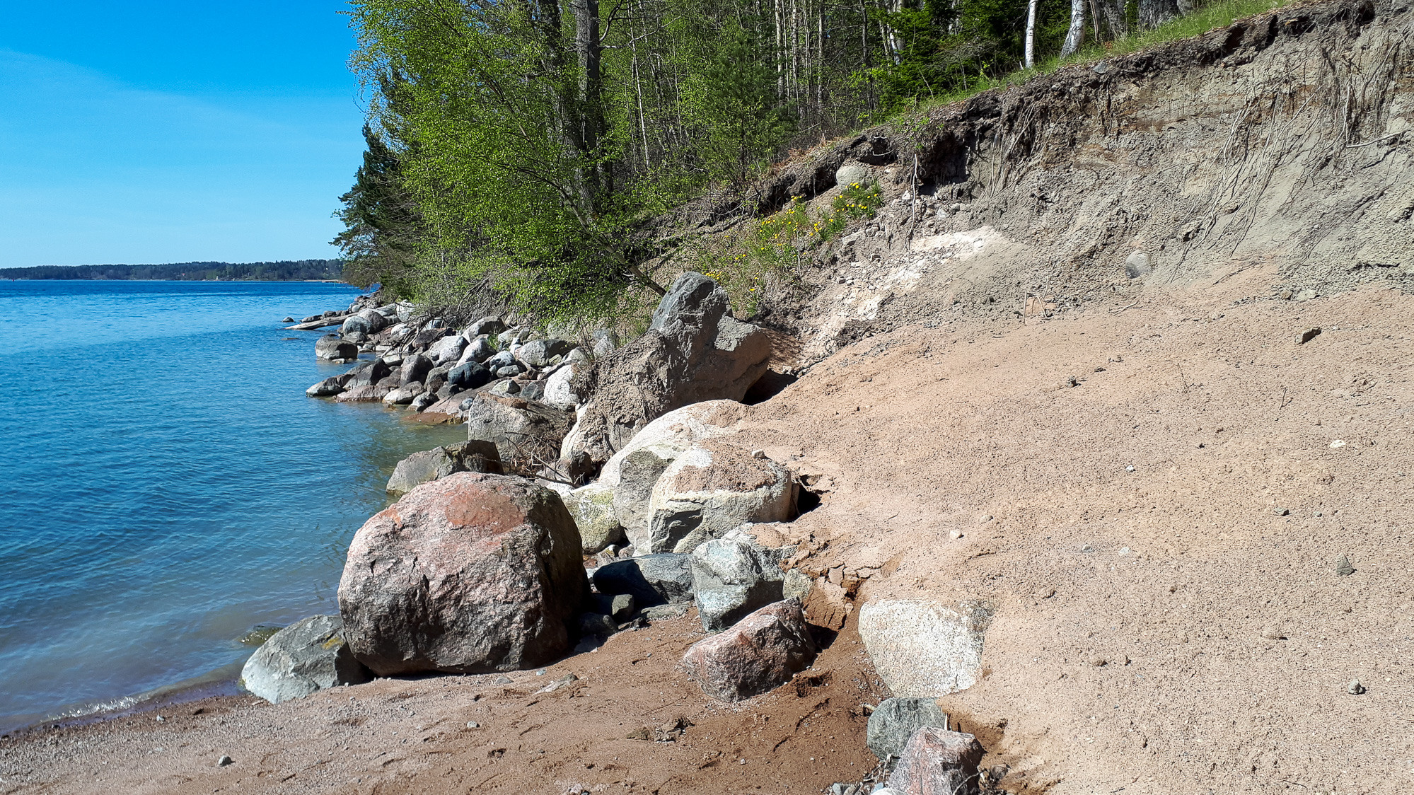 En strand med stenar och träd en solig dag.