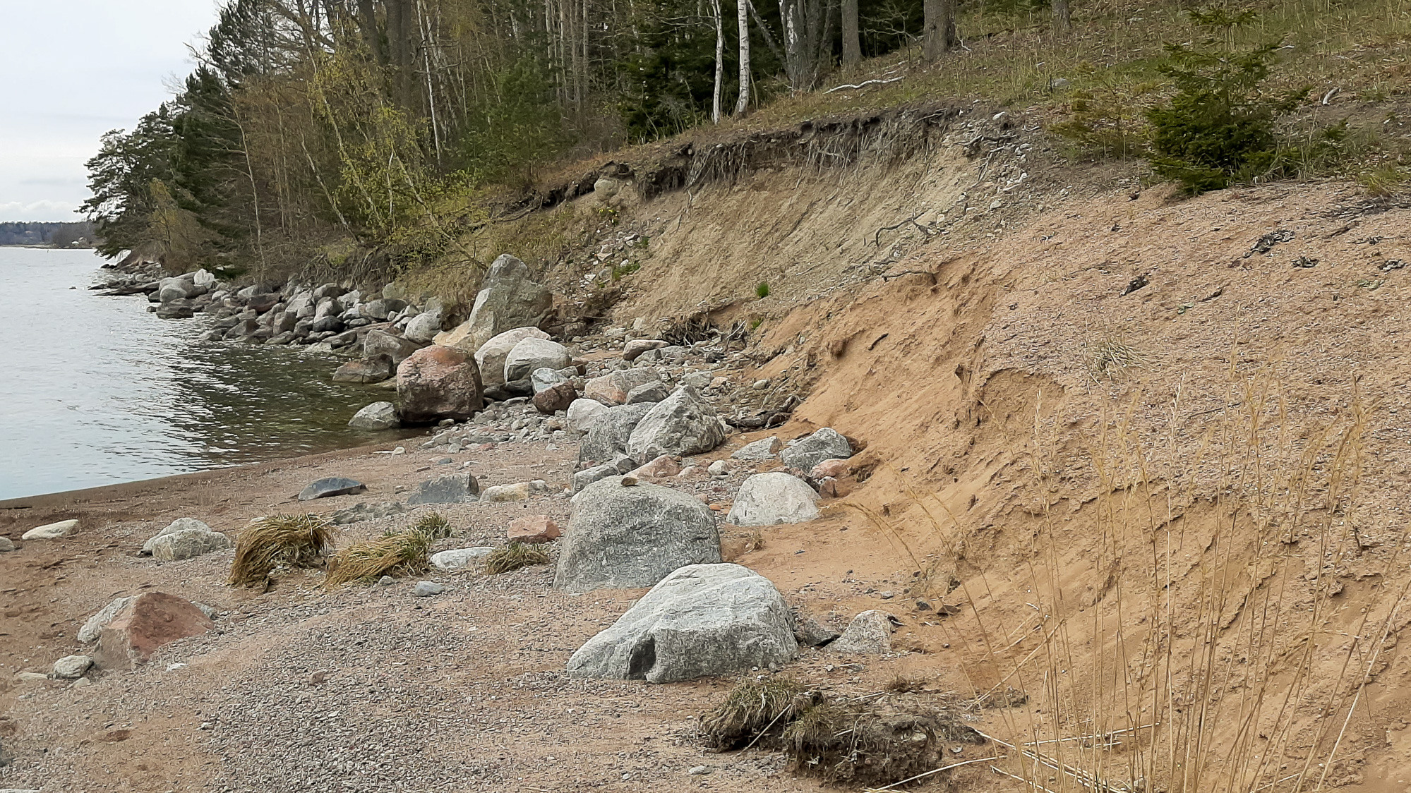 En strand med stenar och gräs intill ett vattendrag.