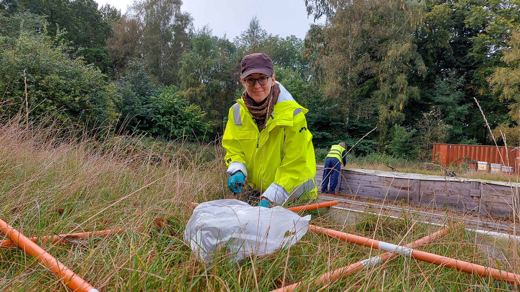 Person vid odlingsbädd