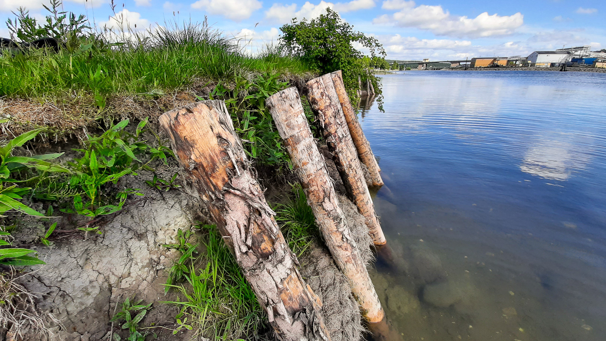 En stock som sticker upp ur ett vattendrag.