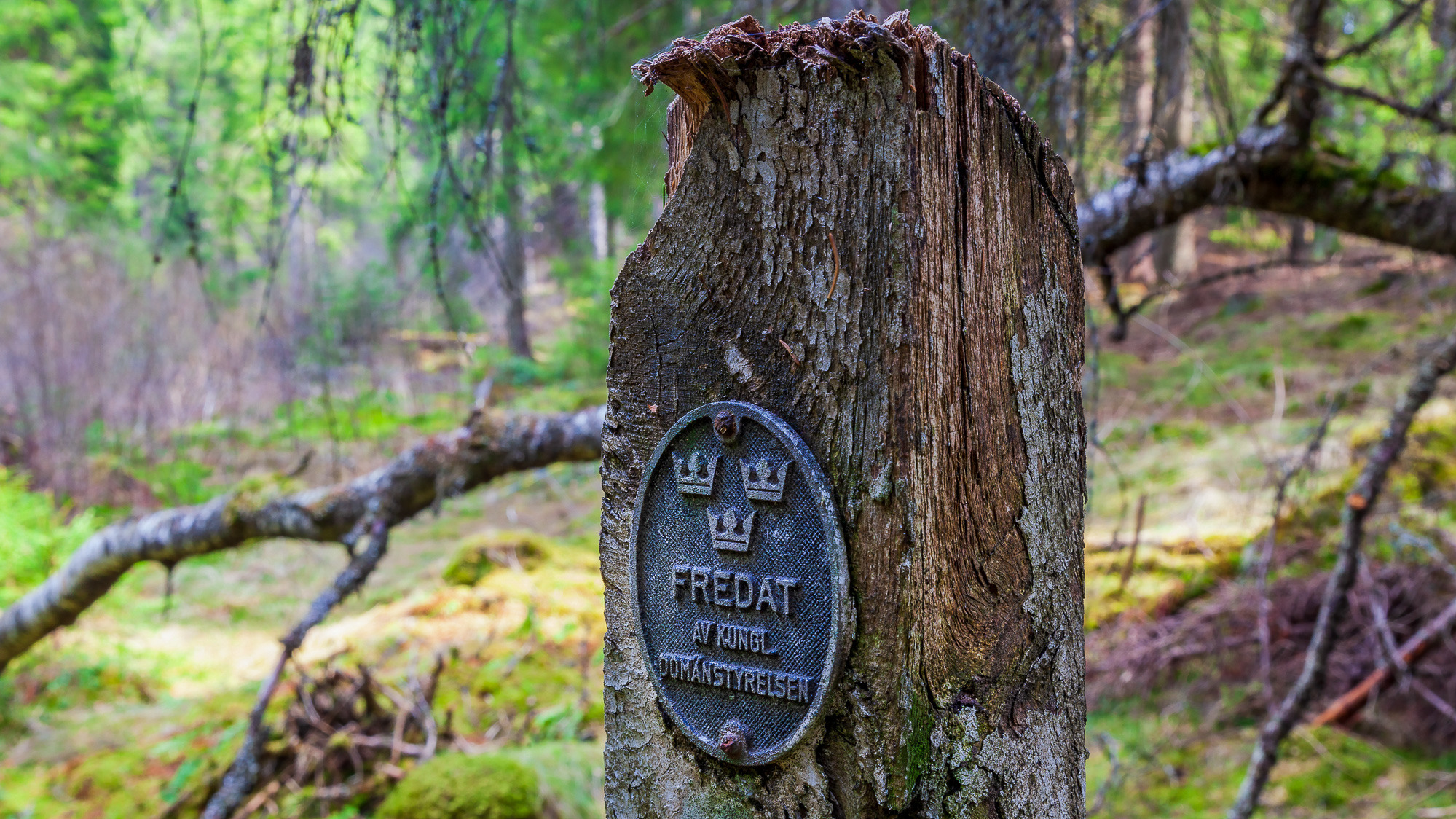 En skylt på ett träd i skogen.