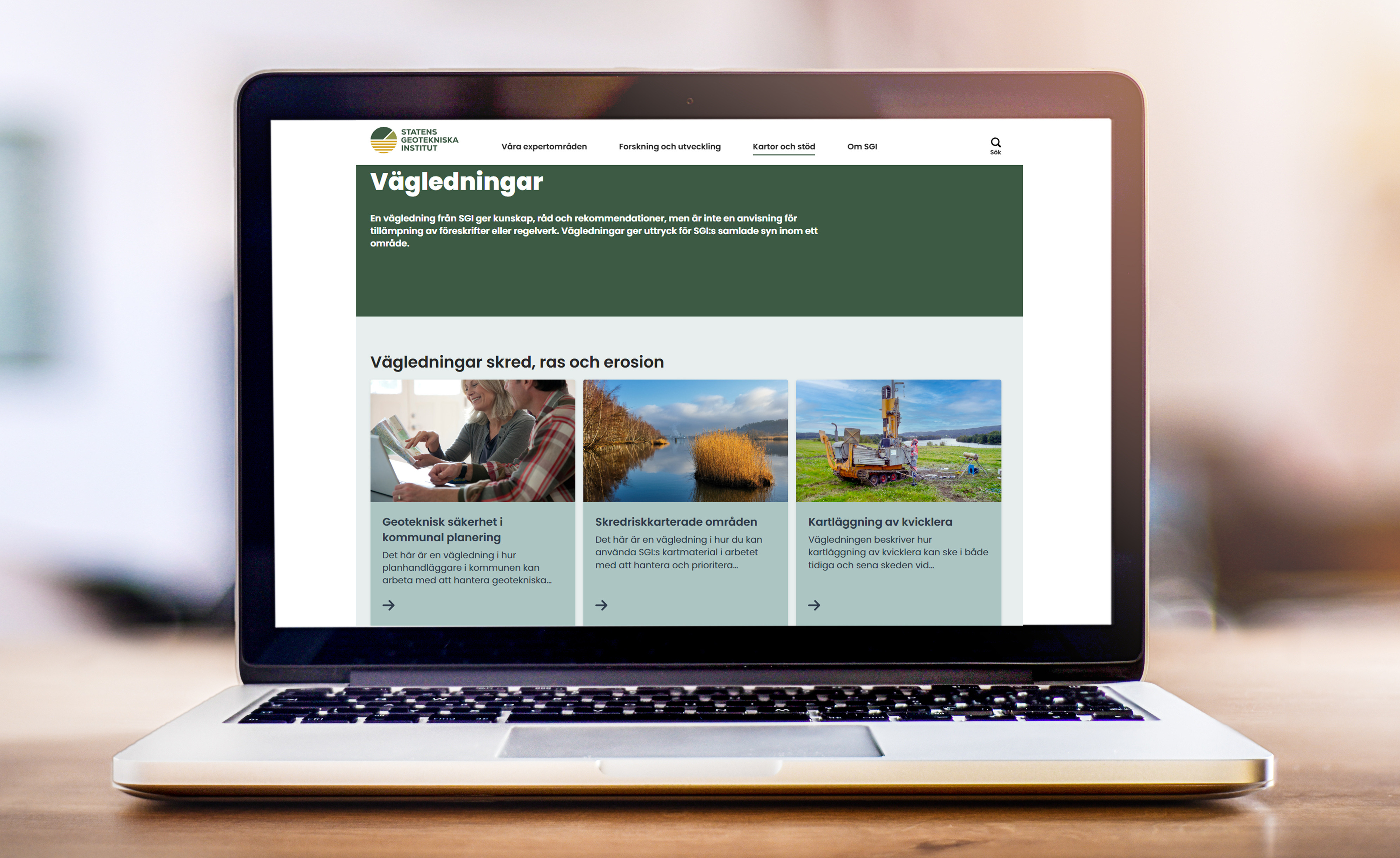 Webbplats sgi.se