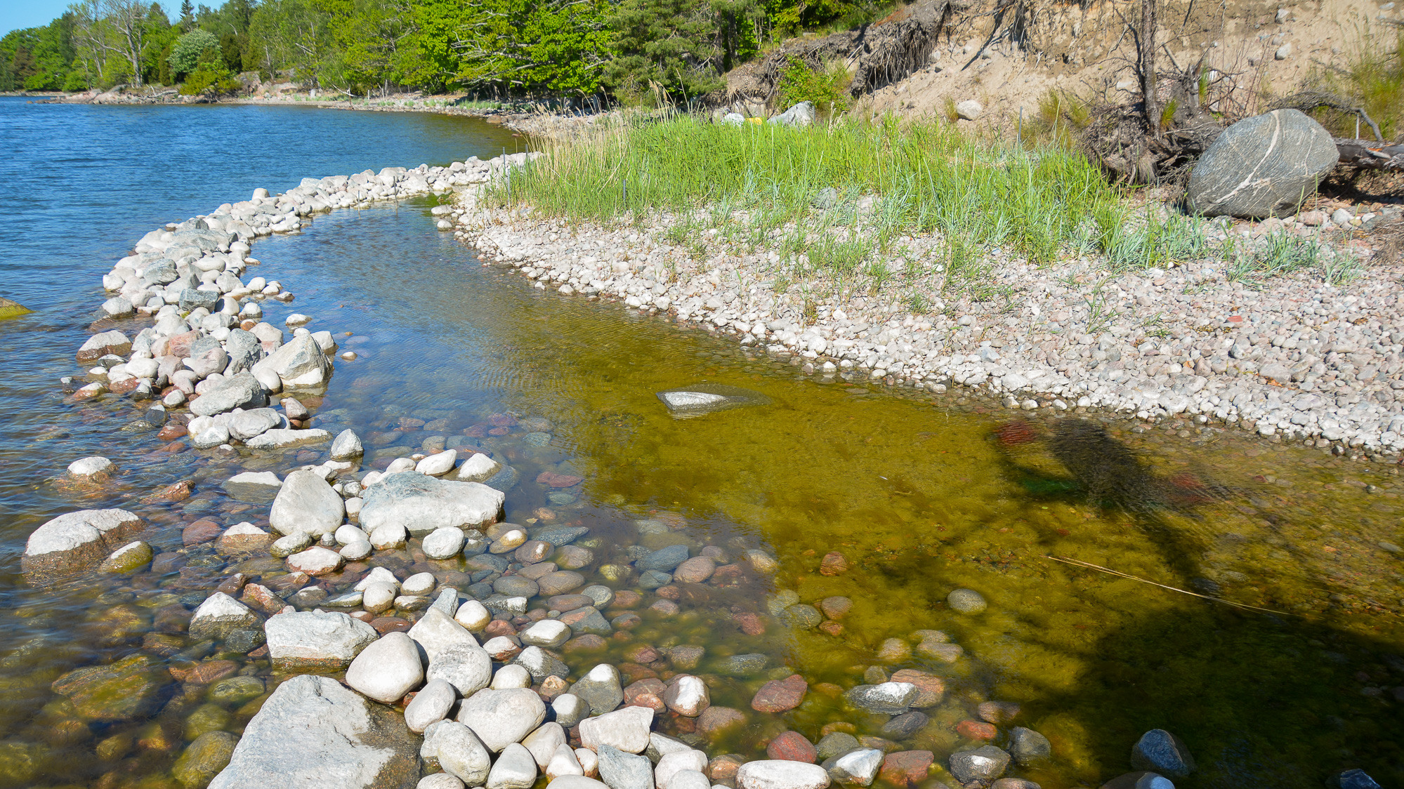 En flod med stenar och gräs på stranden.