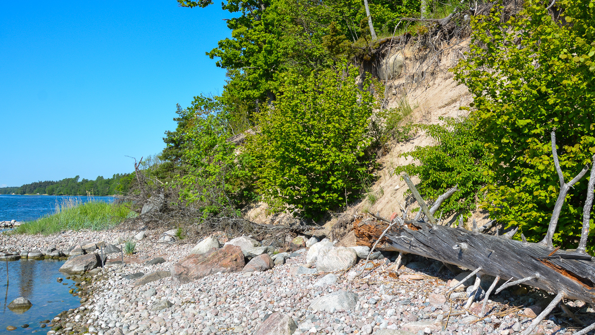 En stock som ligger på en stenig strand intill ett vattendrag.