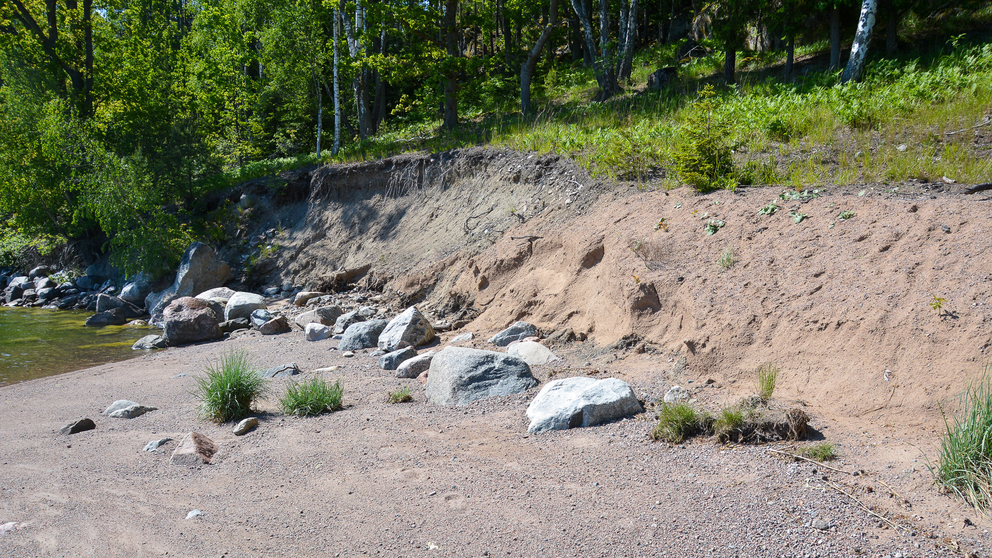 En flod med stenar och gräs på sidan av den.