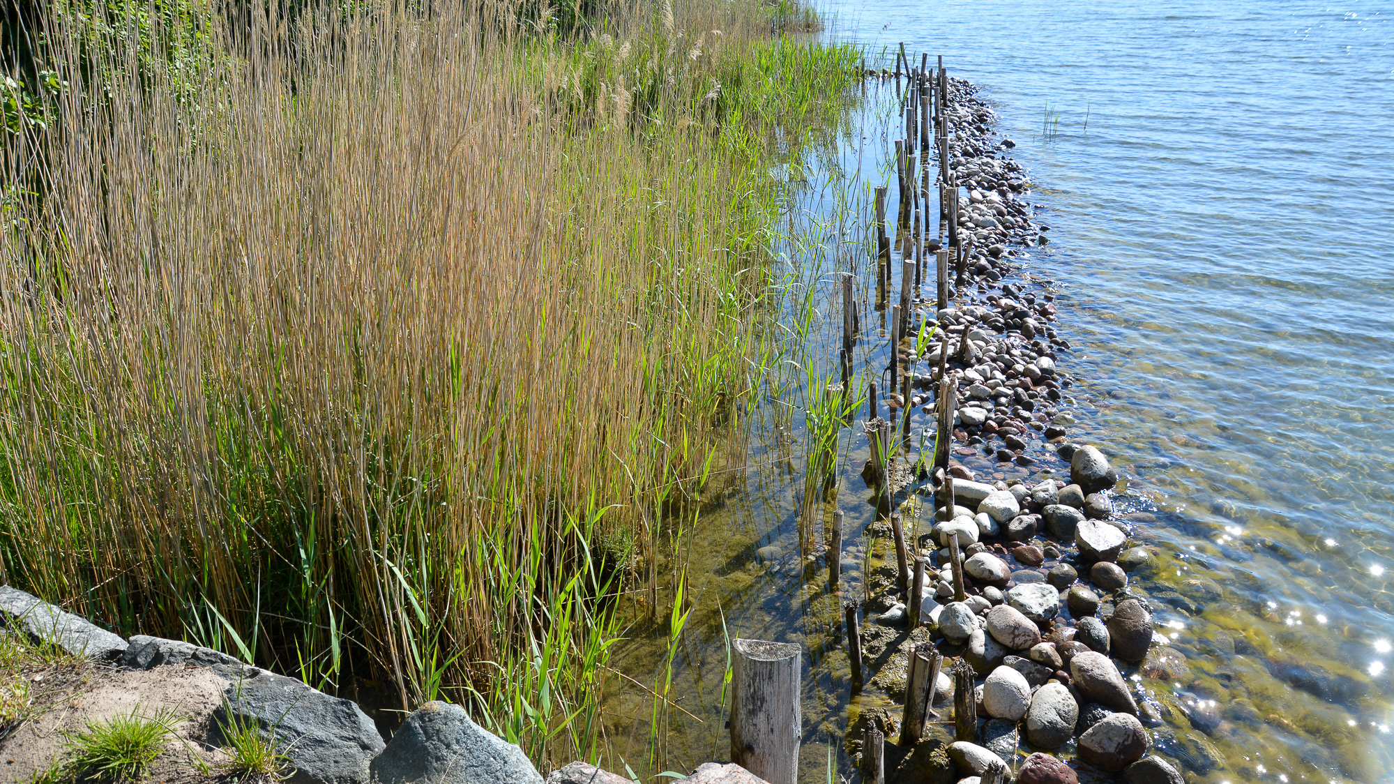 En rad stenar som ligger intill ett vattendrag.