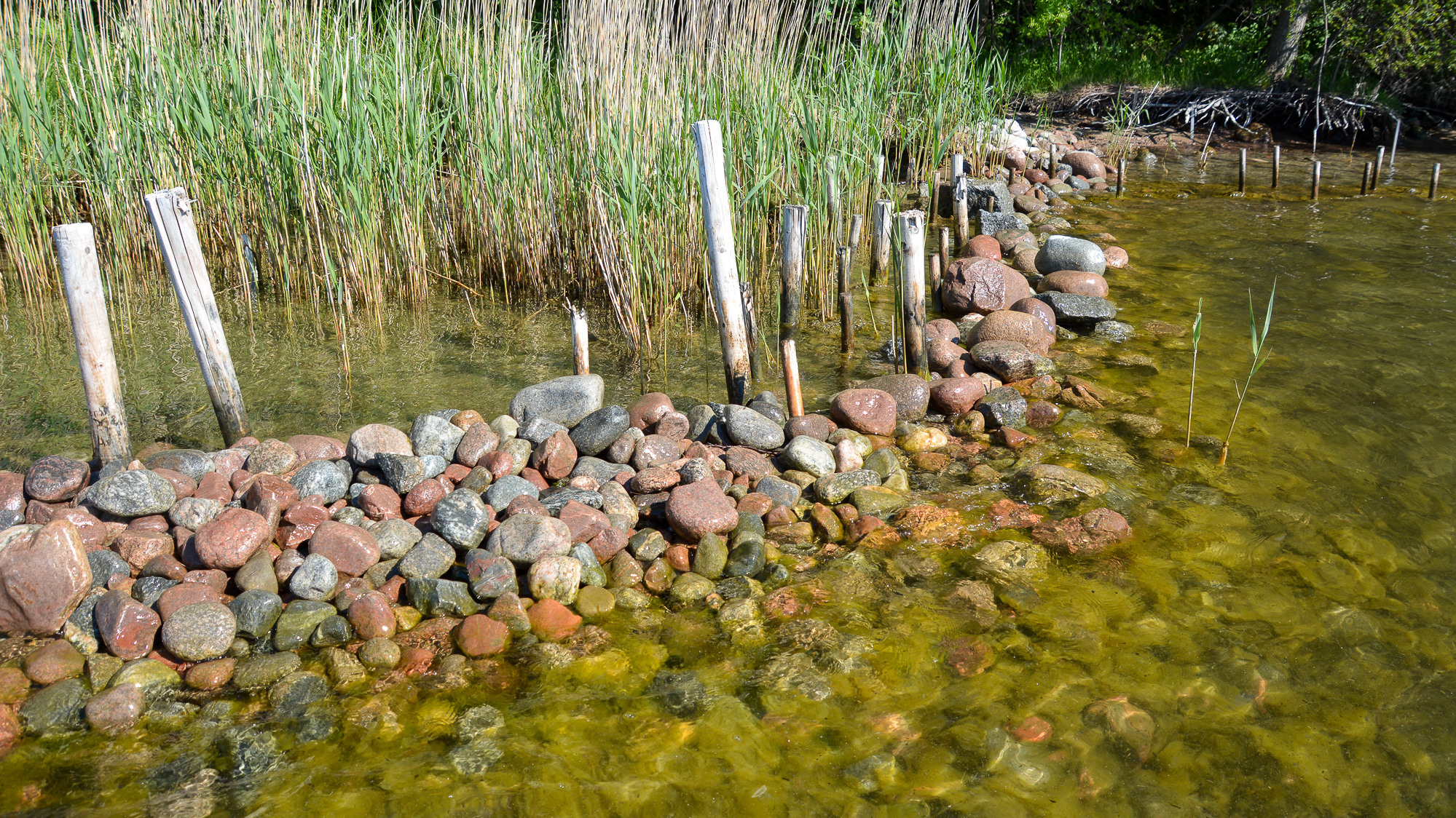 En massa stenar som ligger i vattnet.