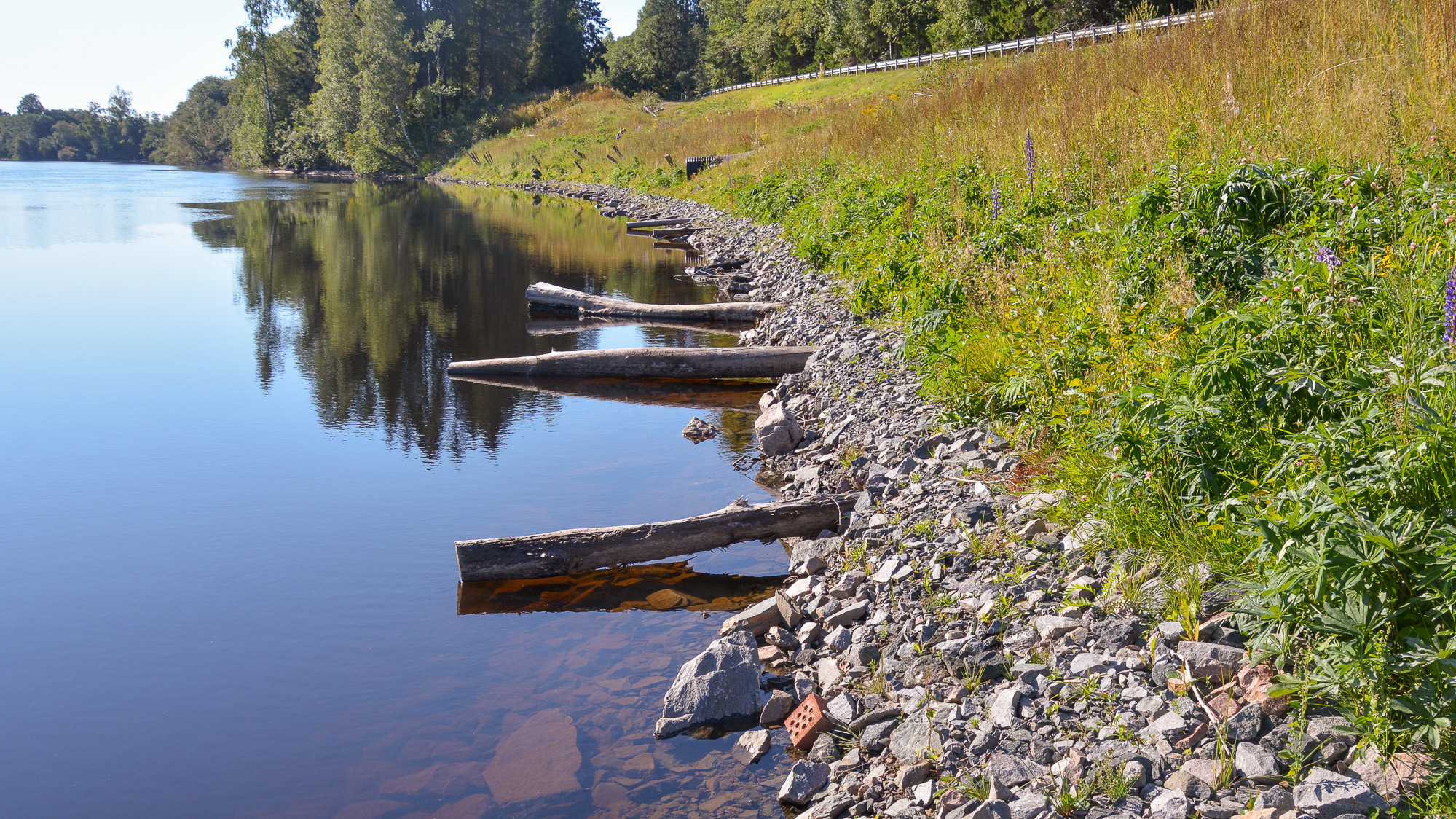 Tryckbank med vegetation