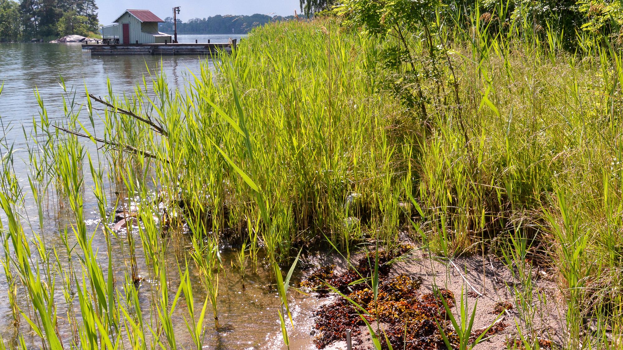 Ett hus på en brygga mitt i en sjö.