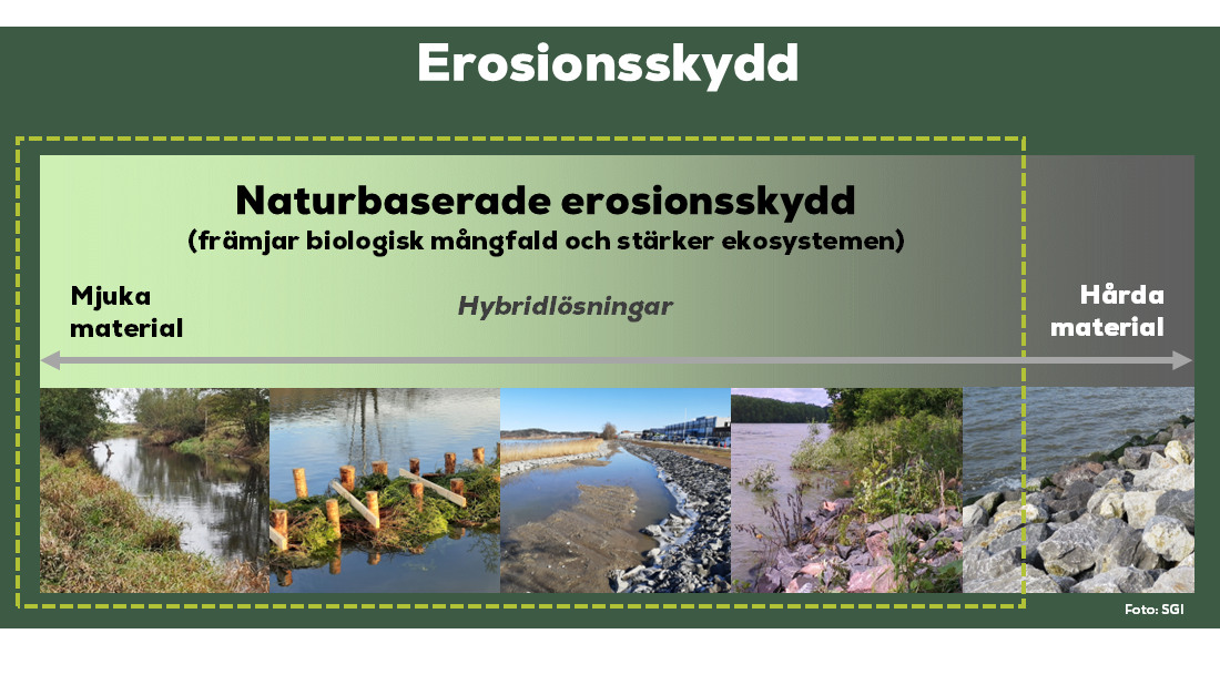 Ett collage med foton av vatten och land.