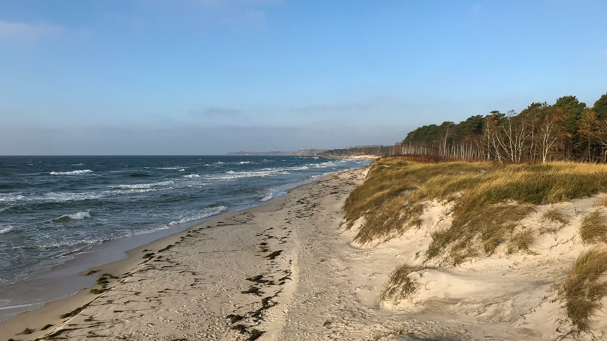 En sandstrand intill havet och träd.