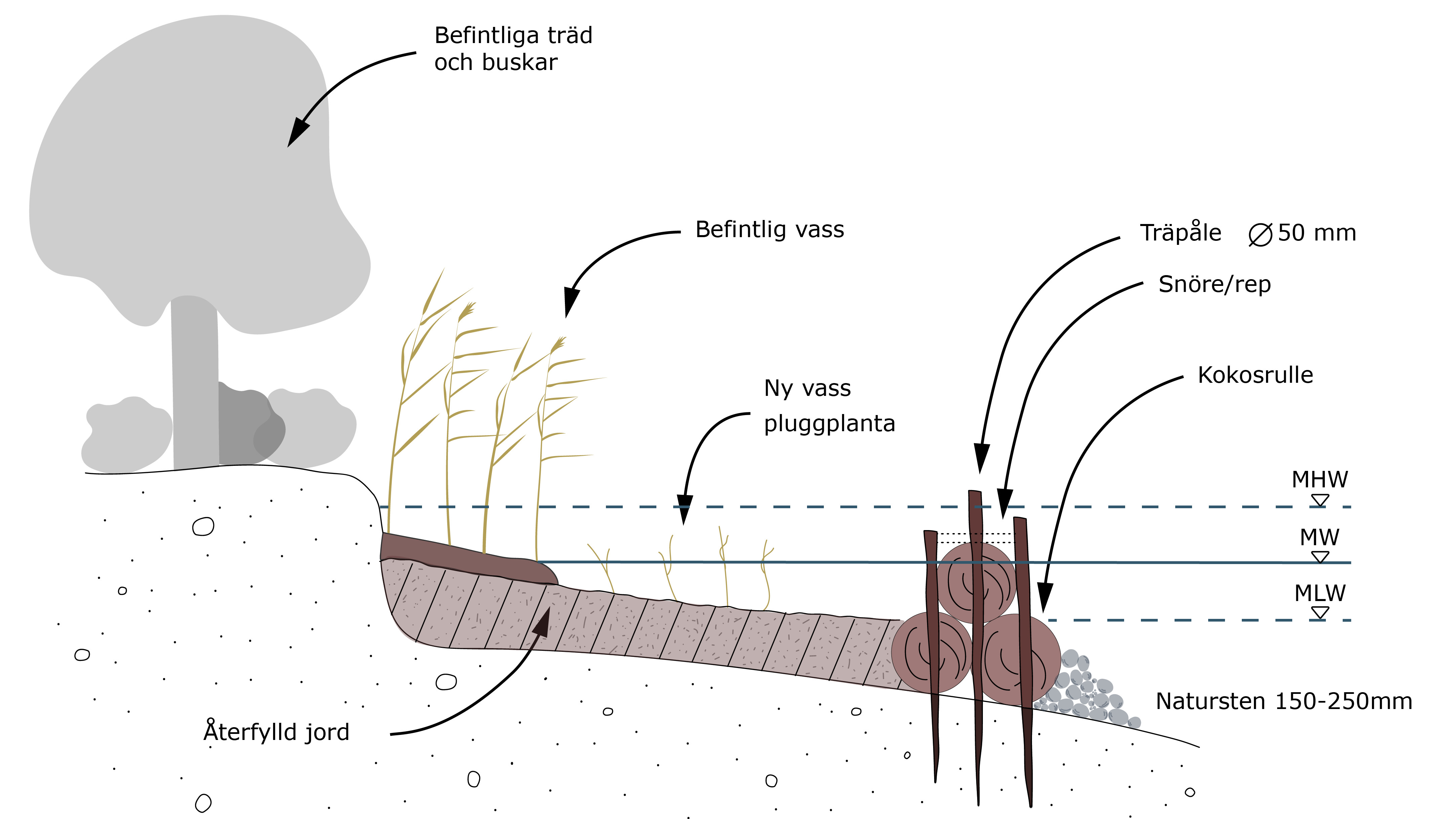 Ett diagram över ett träd med många grenar.