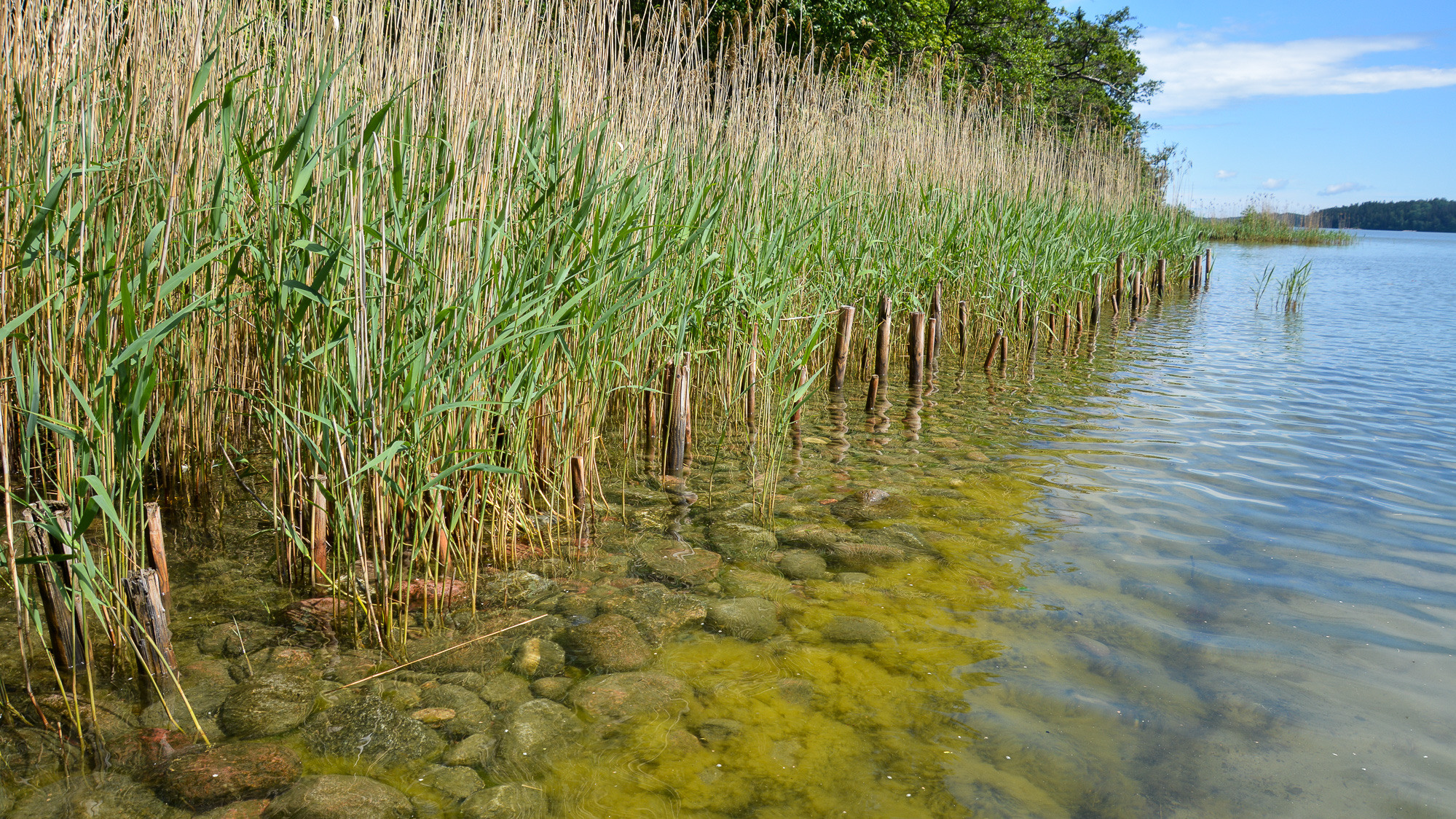 Ett vattendrag omgiven av gräs och stenar.
