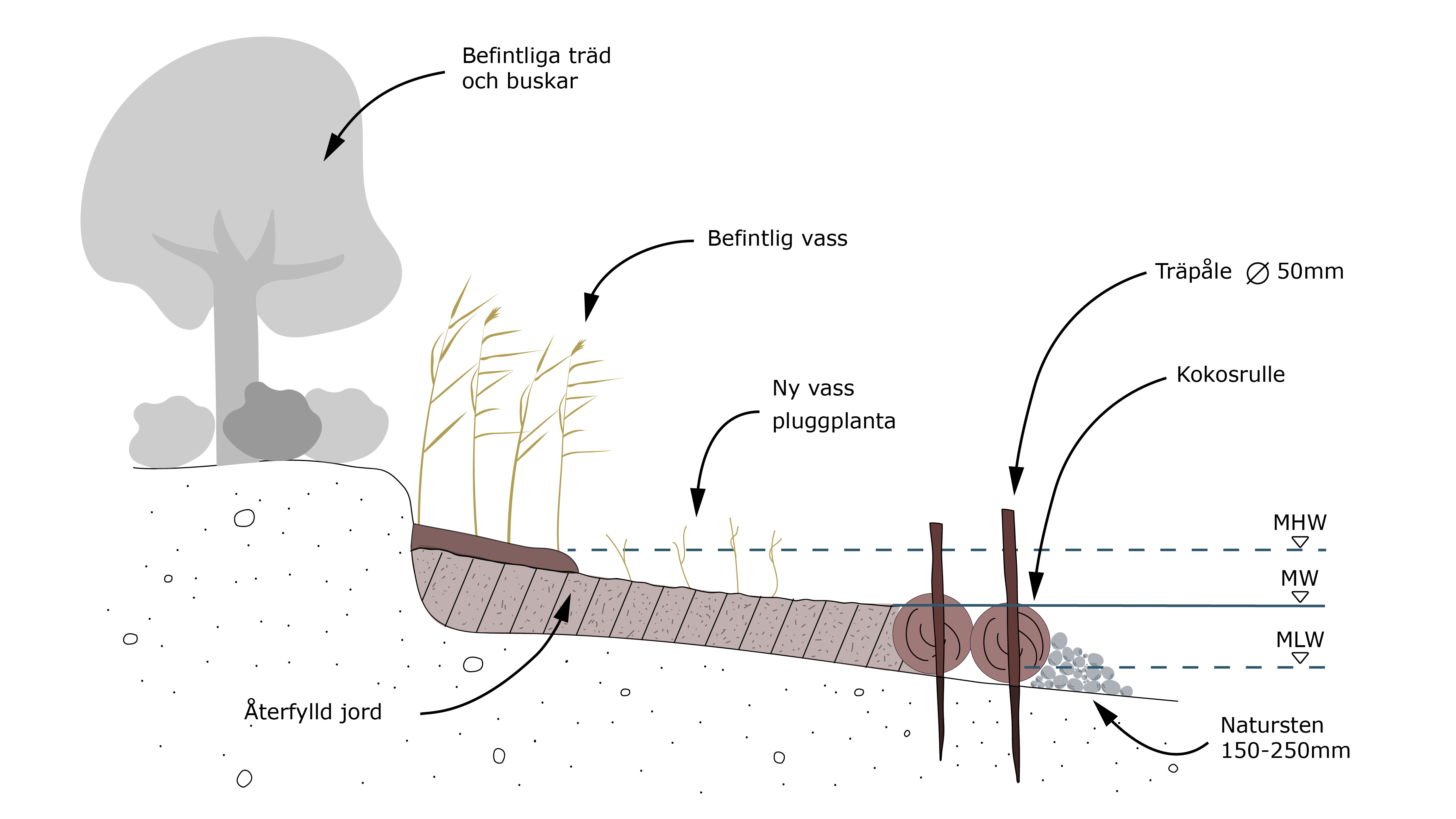 Ett diagram över ett träd och dess omgivning.