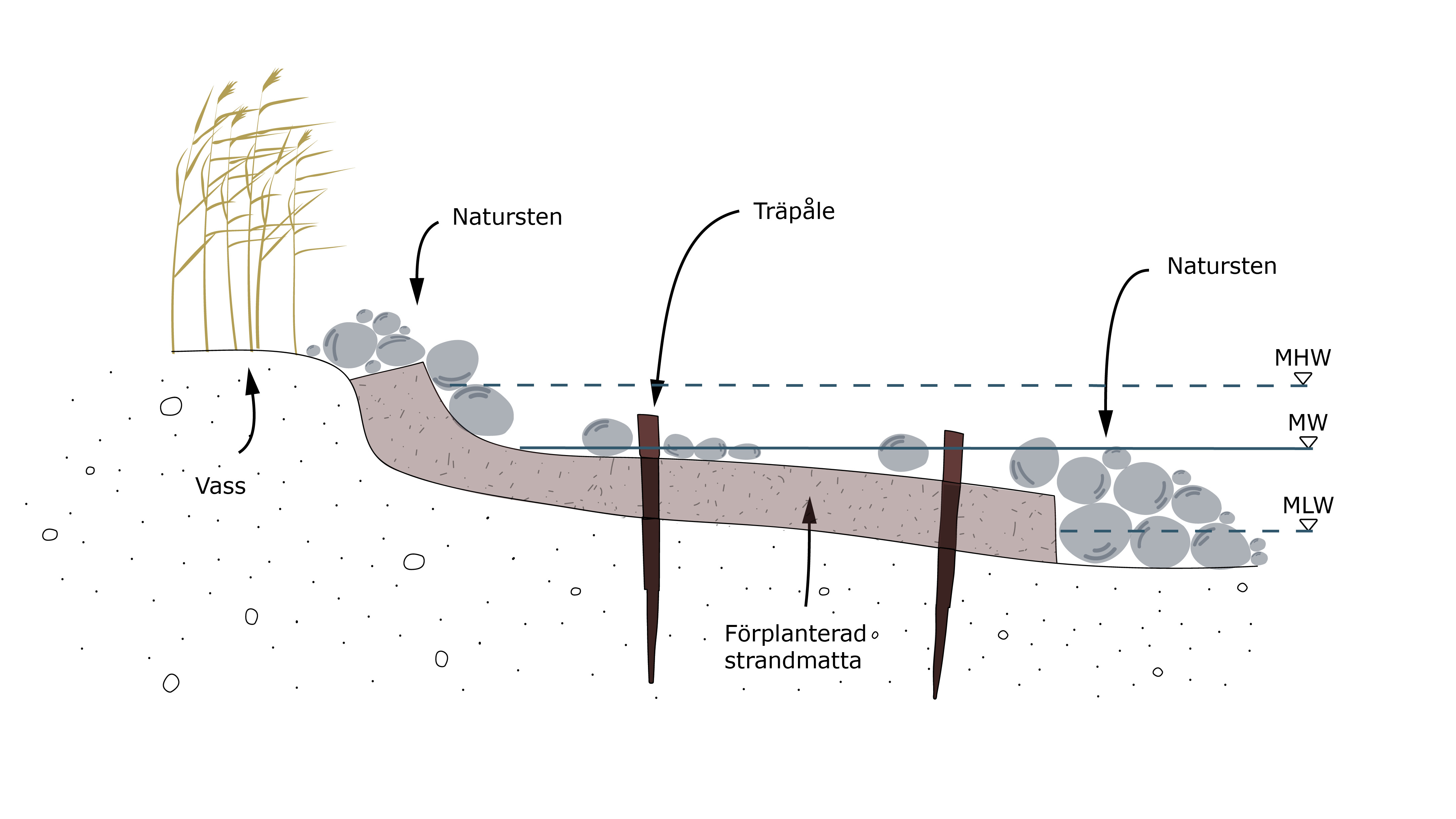 Ett diagram över en vattencykel.