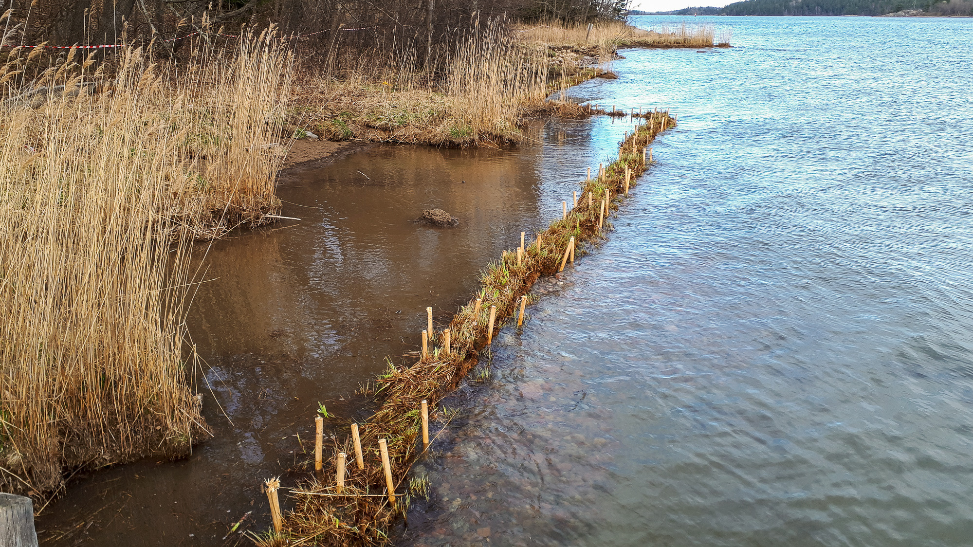 Ett vattendrag omgiven av högt gräs.