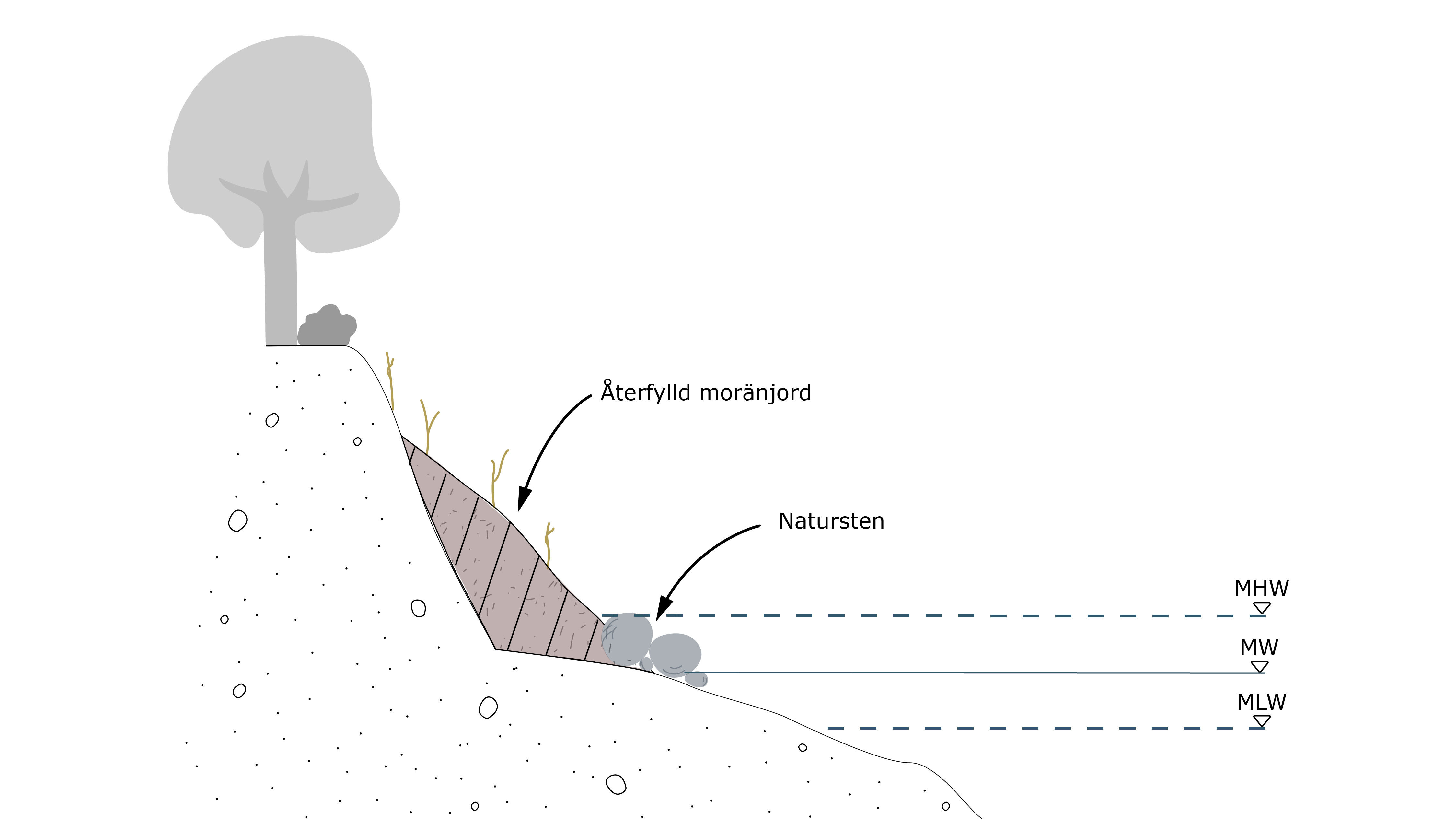 Ett diagram över ett träd på en kulle.