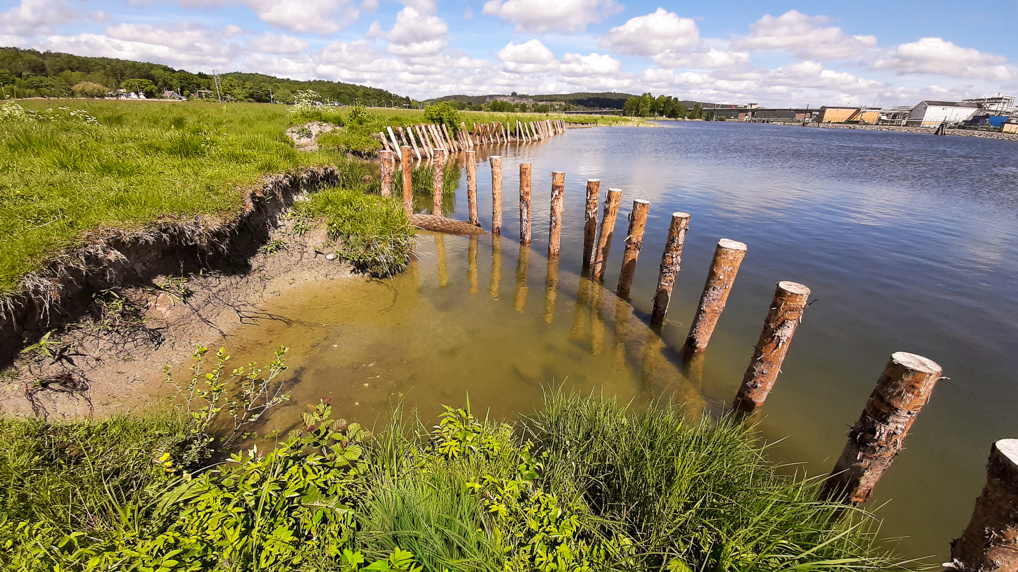 En stor vattensamling med en massa träpålar som sticker upp ur den.