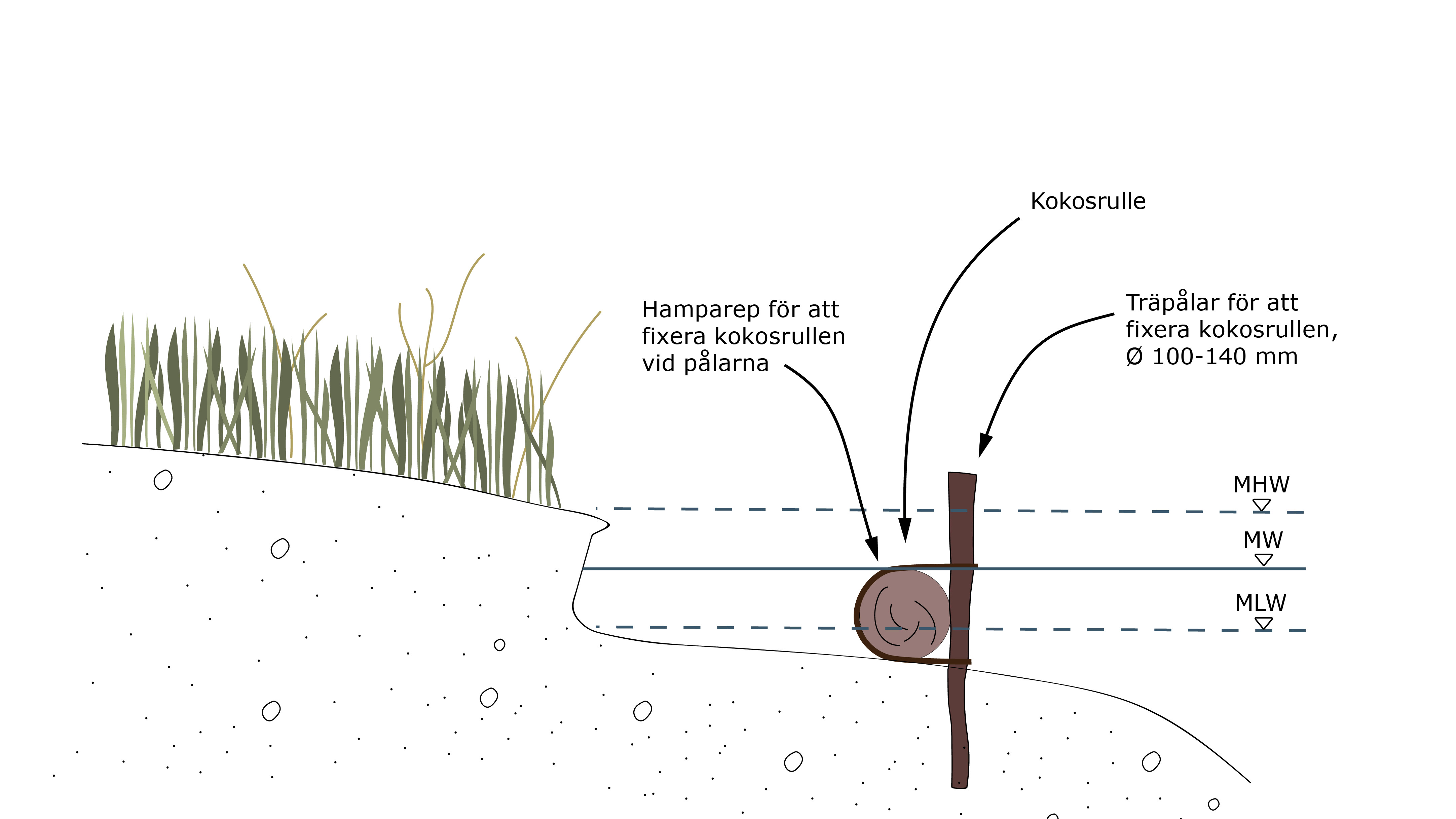 Ett diagram över en underjordisk brunn med gräs som växer upp ur den.