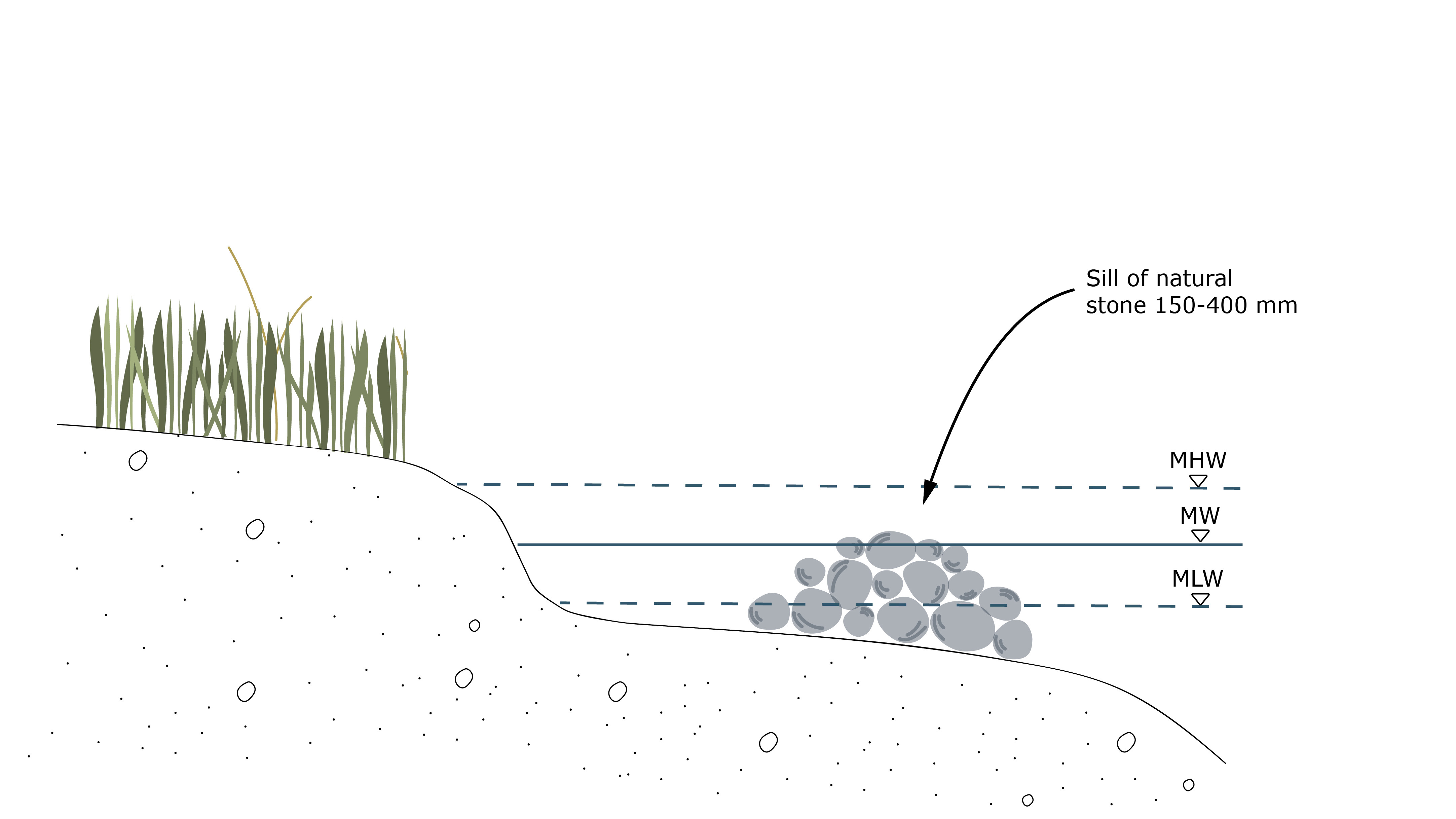 Ett diagram över ett jordlager med gräs som växer ut ur det.