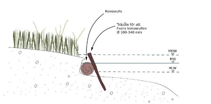 Ett diagram över ett jordlager med gräs som växer ut ur det.