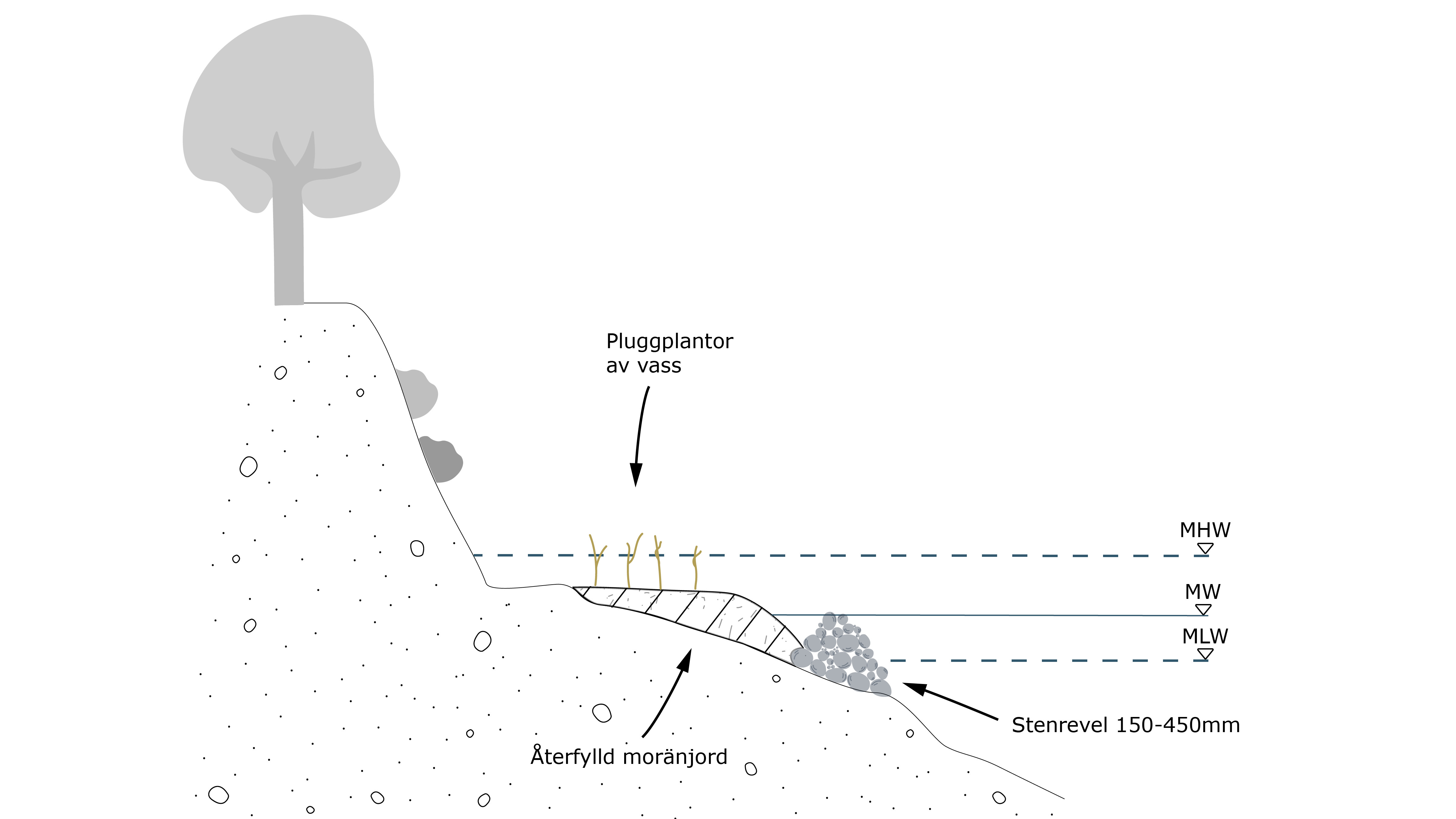 Ett diagram över jordens lager.